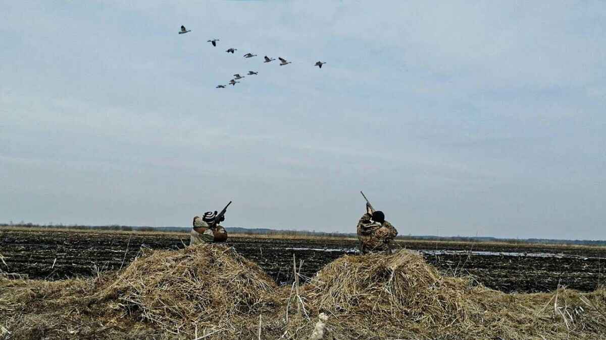 Фото иллюстрационное