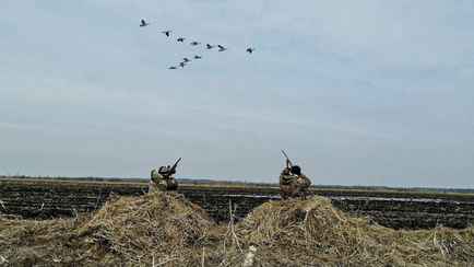 Житель Лунинецкого района во время охоты случайно застрелил знакомого. Что решил суд?