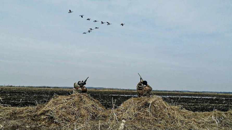 Фото иллюстрационное