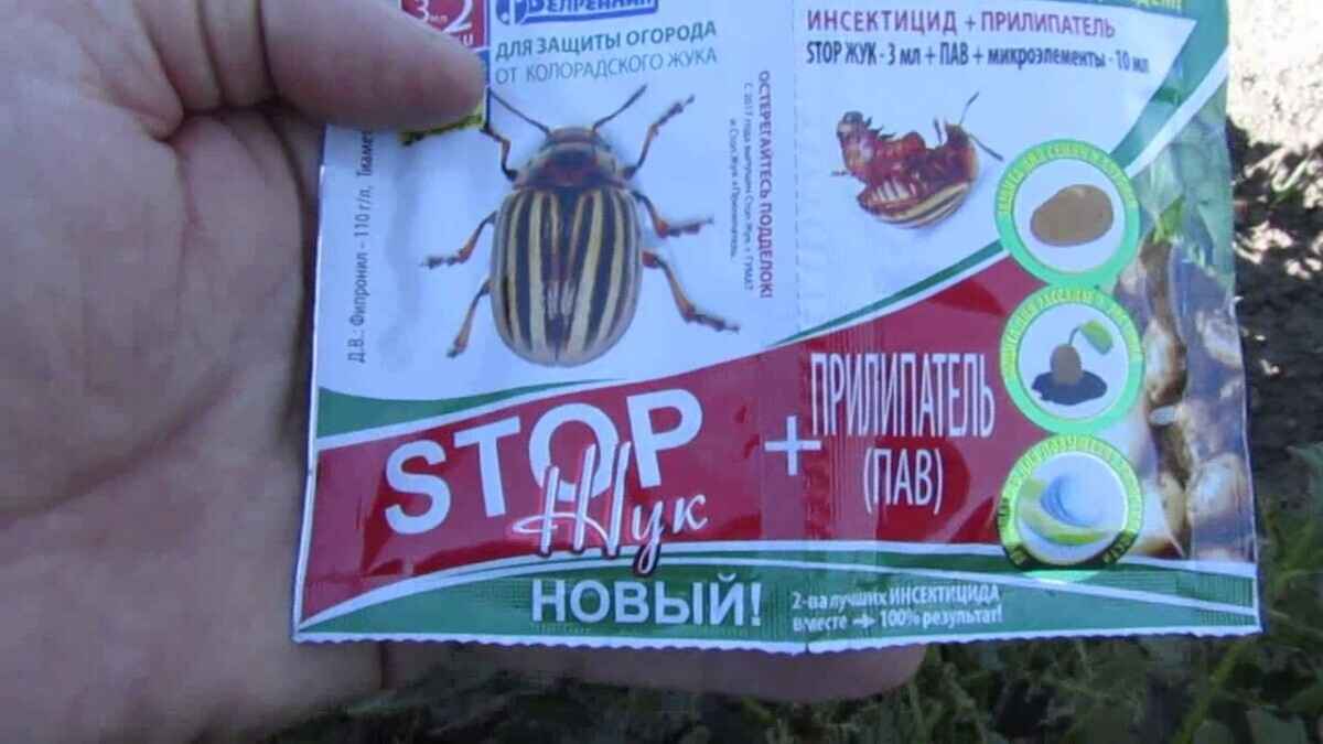 Фото иллюстрационное