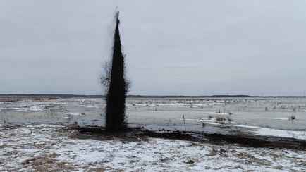 Жителей 17 деревень на Гомельщине предупредили об «абсолютно безопасных» звуках взрывов. Когда?