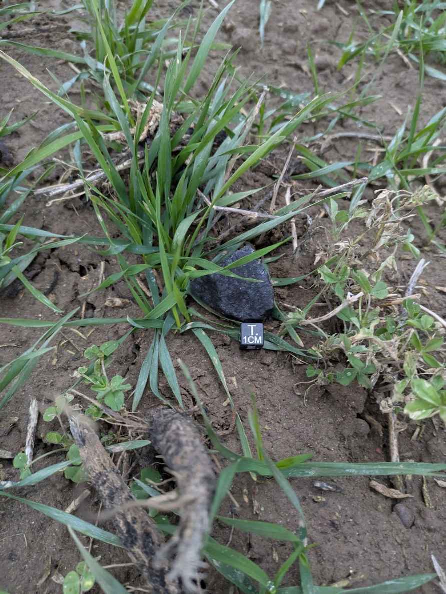 Поисковики показали, как охотились за рождественским метеоритом под Смолевичами. Что удалось найти?