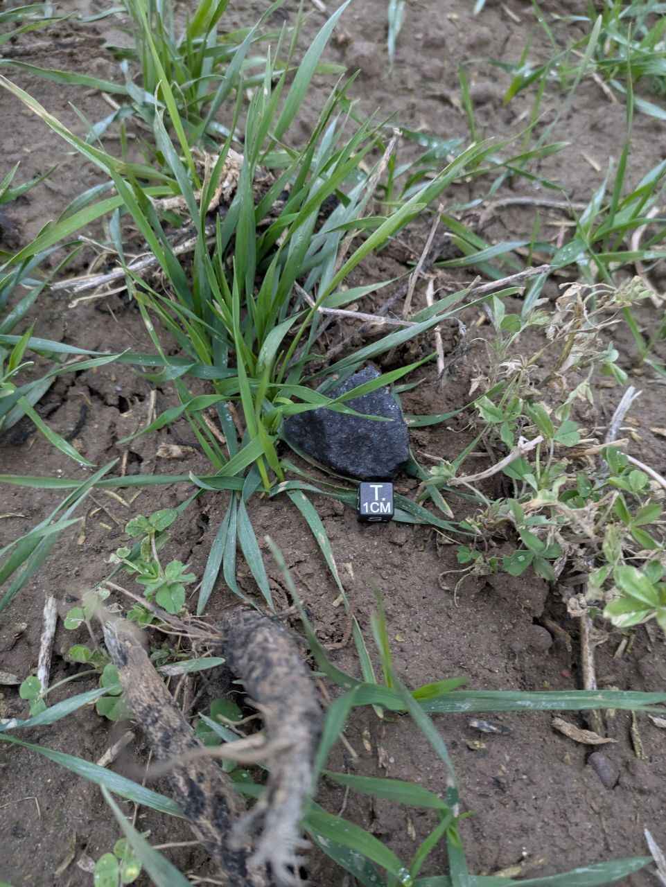 Поисковики показали, как охотились за рождественским метеоритом под Смолевичами. Что удалось найти?