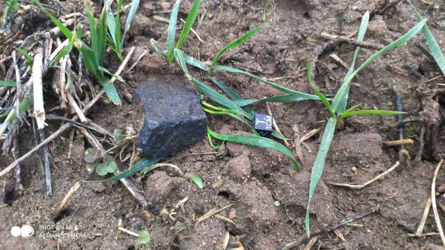 Поисковики показали, как охотились за рождественским метеоритом под Смолевичами. Что удалось найти?