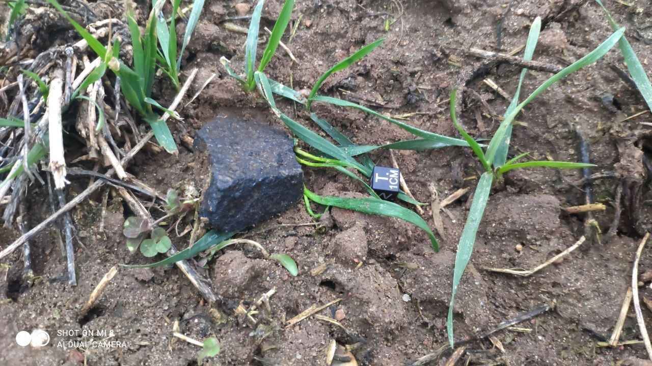 Поисковики показали, как охотились за рождественским метеоритом под Смолевичами. Что удалось найти?