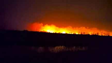 В Брестском МЧС сообщили о «самозатухании» пожара на болоте у границы с Украиной