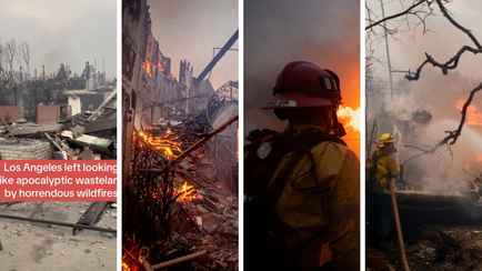 Пожары превратили Лос-Анджелес в «апокалиптическую пустошь». Домов лишились десятки голливудских звёзд