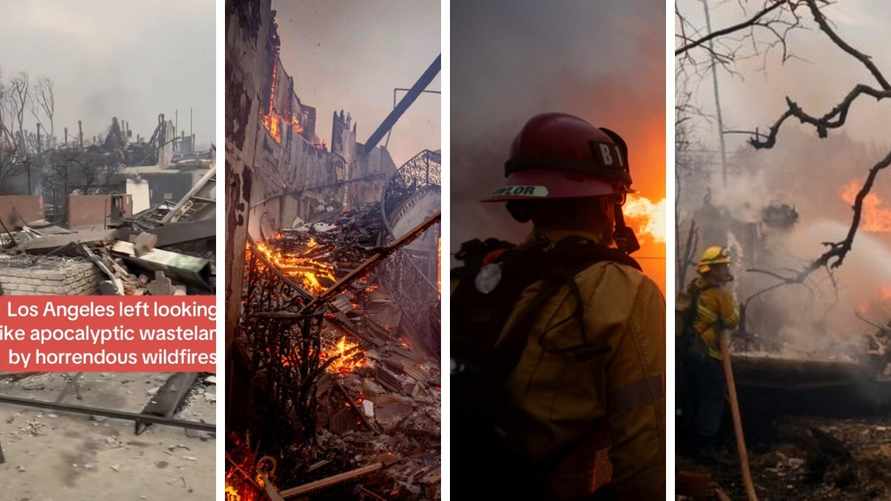 Пожары превратили Лос-Анджелес в «апокалиптическую пустошь». Домов лишились десятки голливудских звёзд