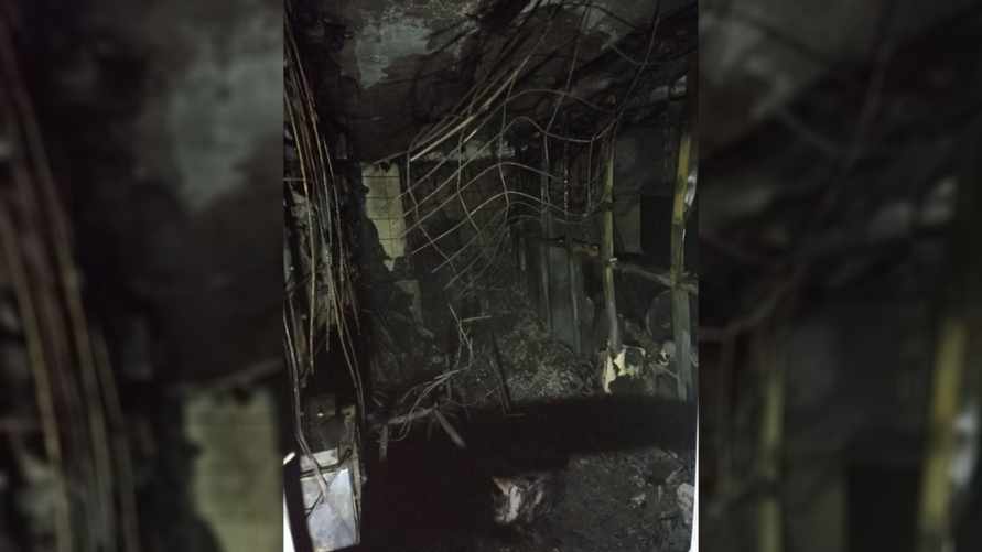 В Минске очевидцы сняли на видео задымление в торговом центре. Что произошло?