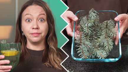 Как приготовить хвойный «Спрайт» из еловых веток? Этот рецепт домашней газировки из 3 ингредиентов покорил TikTok