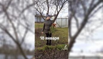 Белорусы похвастались урожаями с грядок в январе. А вы видели?