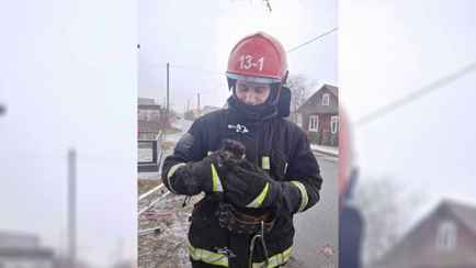 В Ляховичах спасатели вызволили котёнка, упавшего в колодец