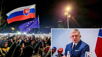 В Словакии десятки тысяч протестующих потребовали отставки Фицо. Что ответил премьер?