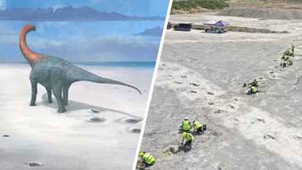 В Великобритании нашли самую длинную «дорогу динозавров»