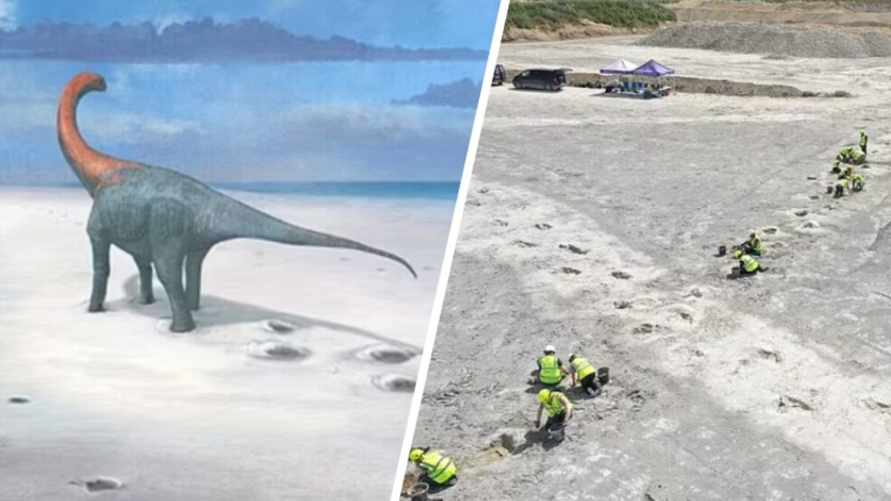 В Великобритании нашли самую длинную "дорогу динозавров"