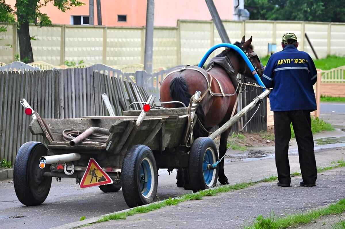 Фото носит иллюстративный характер