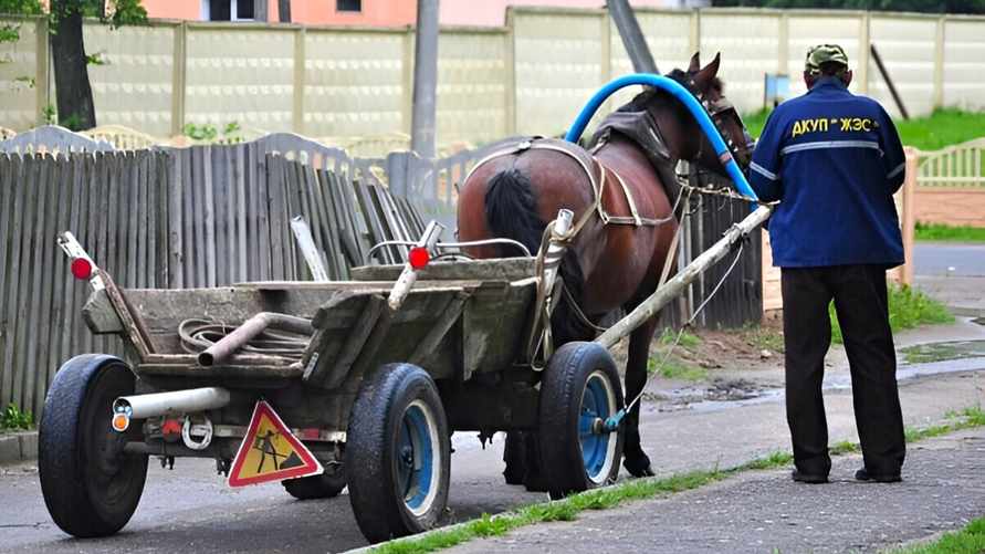 Фото носит иллюстративный характер