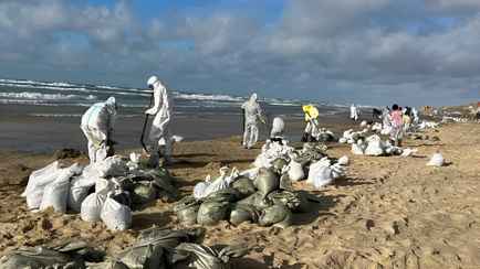 Мазут из российских танкеров достиг Феодосии, Судака и Алушты в Крыму. Что будет с курортами?