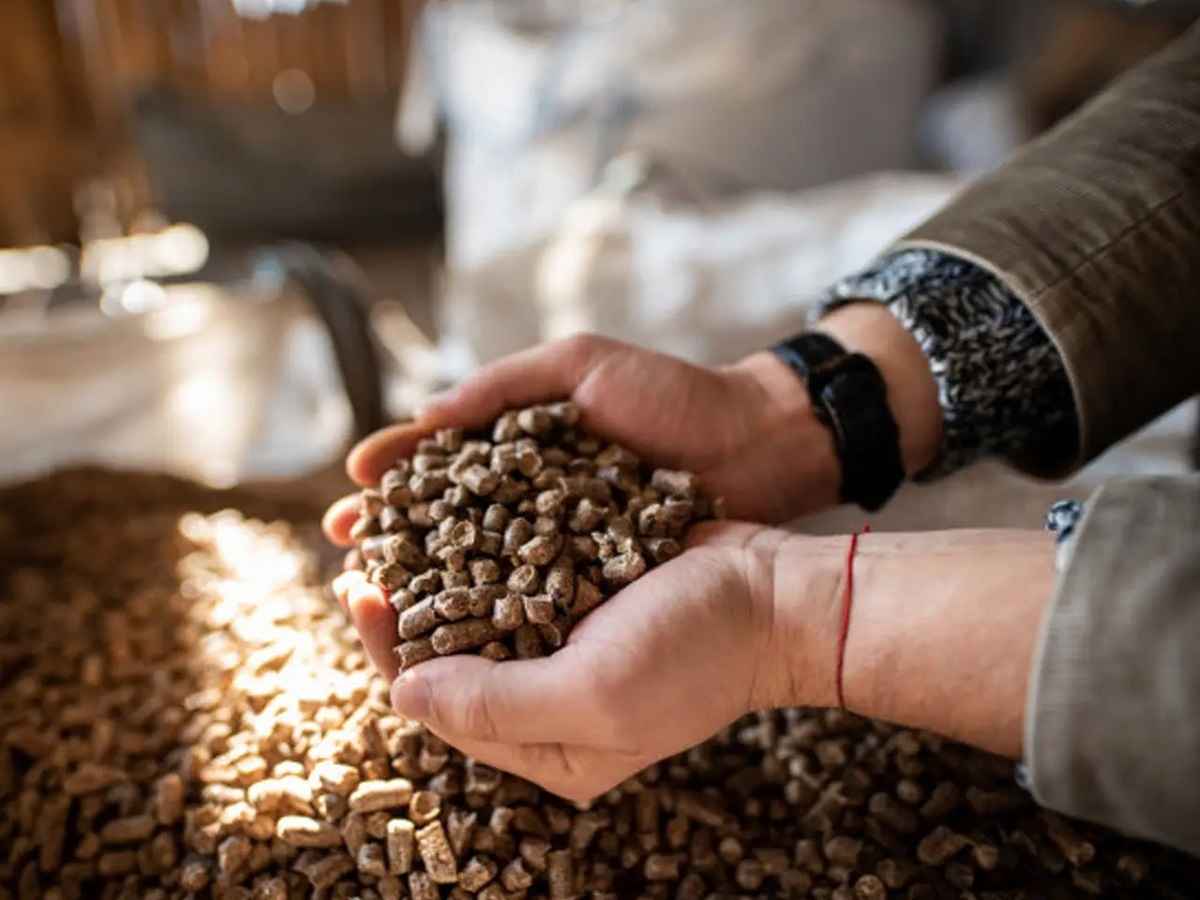 Фото иллюстрационное