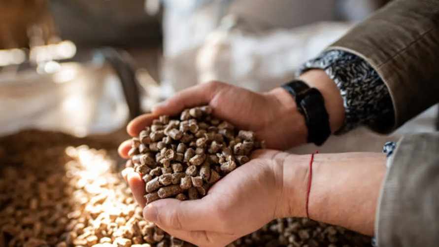 Фото иллюстрационное