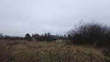 Под Барановичами нашли тело женщины со следами укусов животных