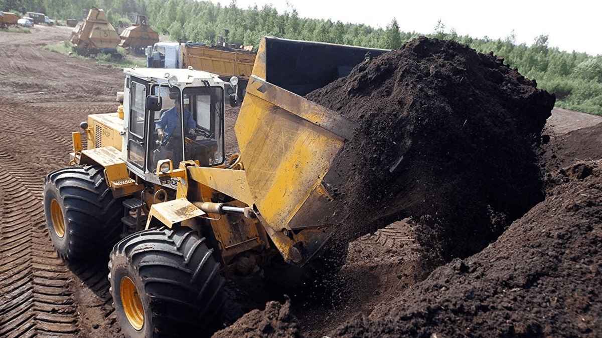 Фото иллюстрационное