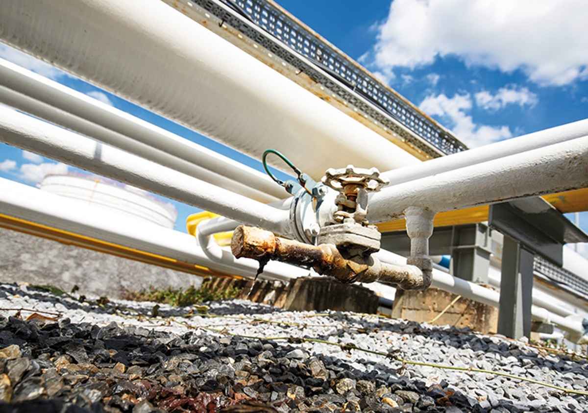 Фото иллюстрационное