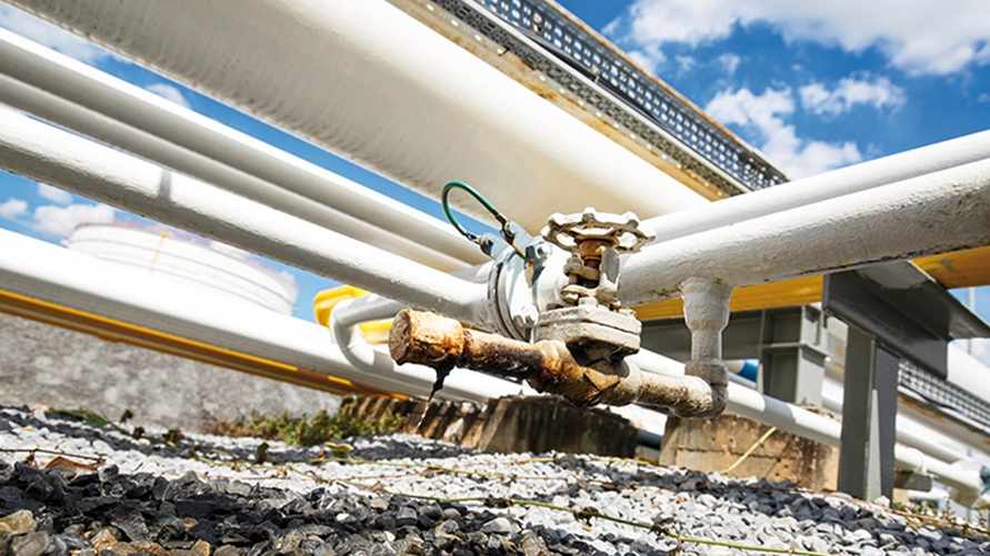 Фото иллюстрационное