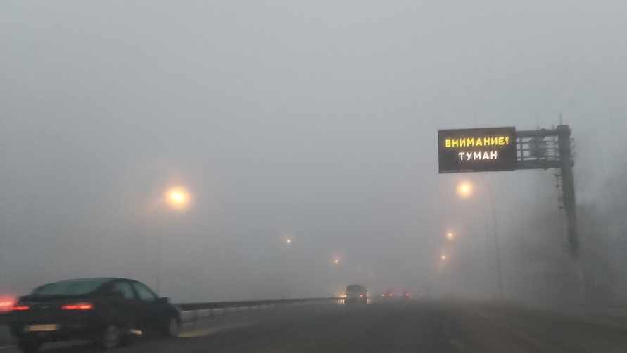 Фото: Telegraf.news