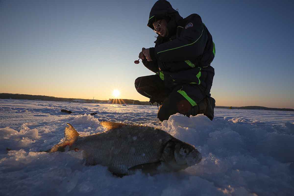 Фото иллюстрационное