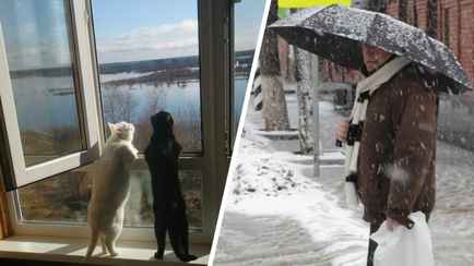 Синоптики спрогнозировали «не по сезону тёплое» начало февраля. Где белорусам ждать до +11°С, а где накроет мокрым снегом?