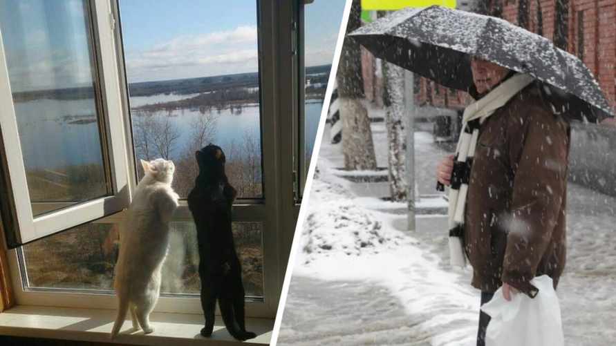 Синоптики спрогнозировали "не по сезону тёплое" начало февраля. Где белорусам ждать до +11°С, а где накроет мокрым снегом?