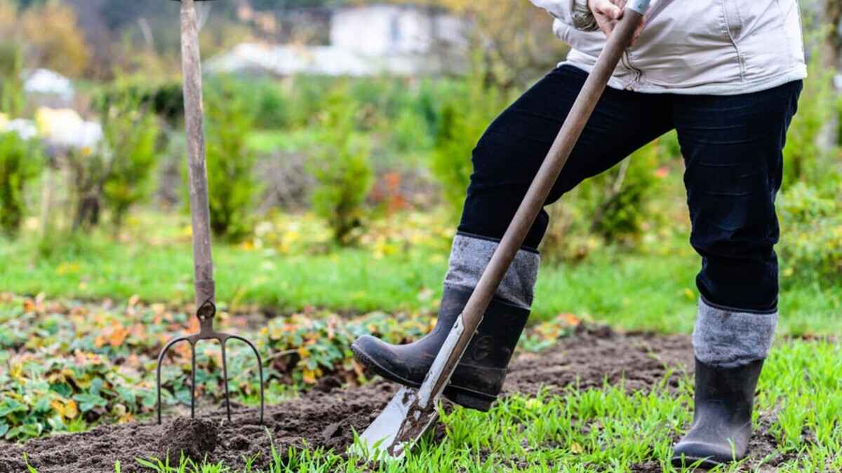 Фото иллюстрационное