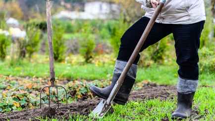 За что в Беларуси могут исключить из садового товарищества? Адвокат рассказал