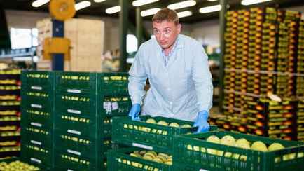 Совмин ввёл на 3 месяца ограничения на вывоз яблок и 4 видов овощей из Беларуси