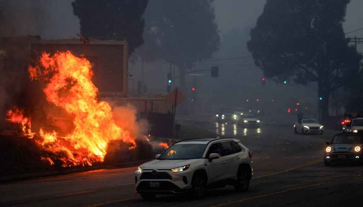 До 150 млрд долларов. В США оценили экономический ущерб катастрофических пожаров в Калифорнии