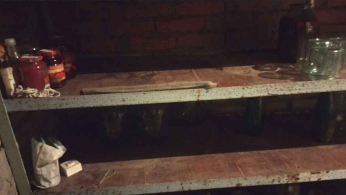 Фото: УВД Брестского облисполкома