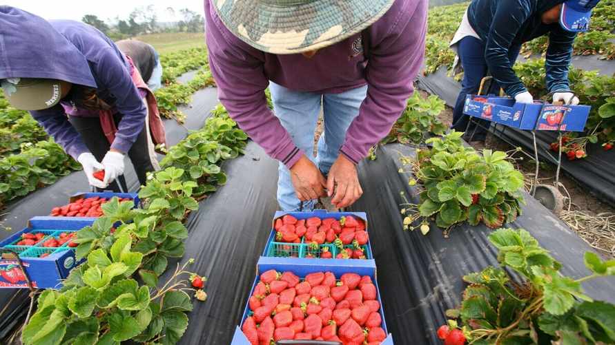 Белорусским предпринимателям предложили кредиты под 8%. Но есть нюанс