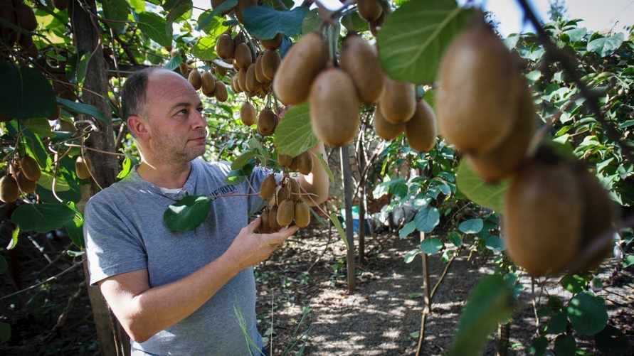 Фото иллюстрационное