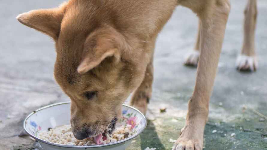 Фото: Getty Images