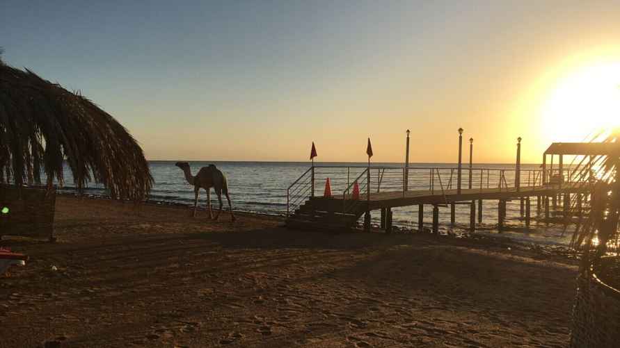 Отдых в Египте, фото Вероники Семенча