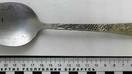 В Бресте раскрыть серию краж на дачах помогла столовая ложка. Как?