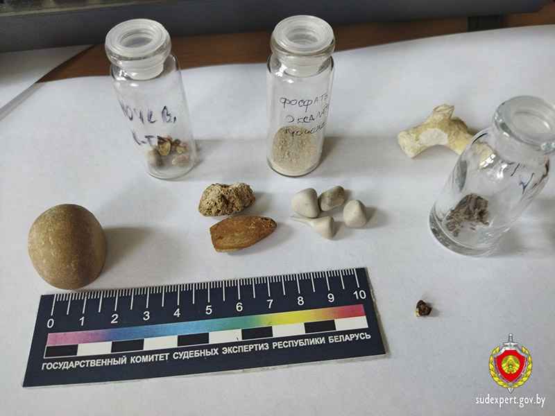 Фото: sudexpert.gov.by