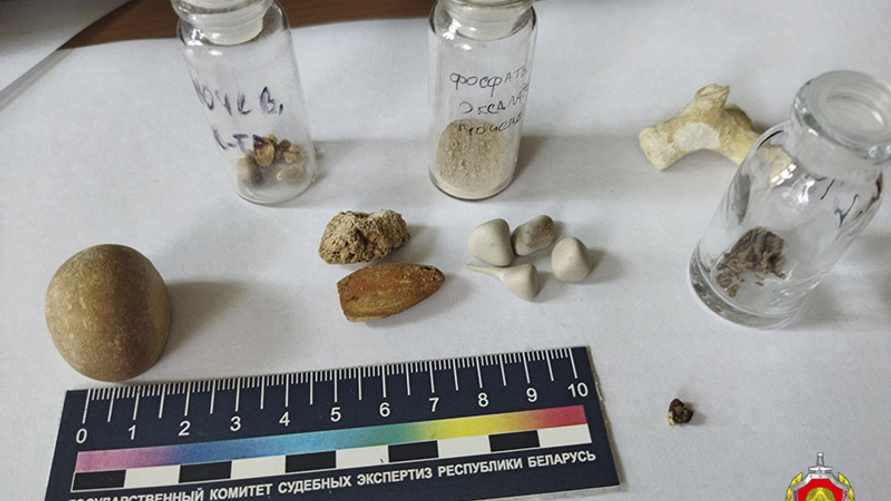 Фото: sudexpert.gov.by