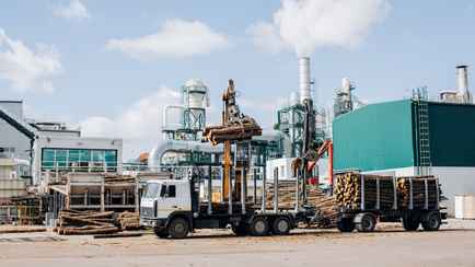 Совмин распорядился погасить за счёт бюджета часть кредитов четырёх белорусских деревообрабатывающих предприятий