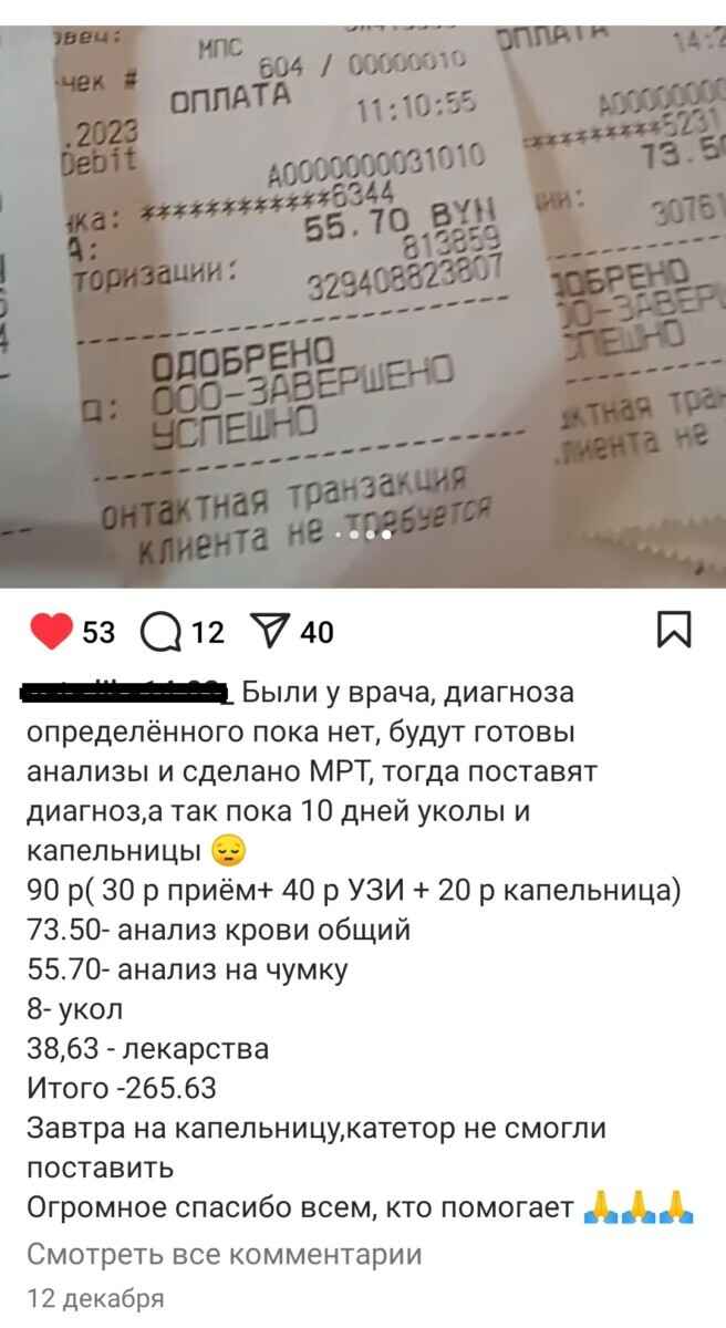 Суд в Молодечно вынес приговор волонтёру, которая брала деньги за лжеспасение собак