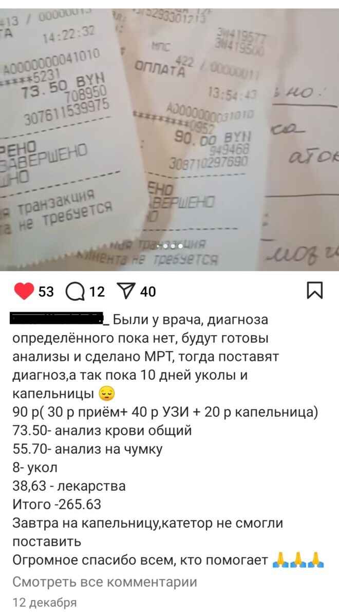 Суд в Молодечно вынес приговор волонтёру, которая брала деньги за лжеспасение собак