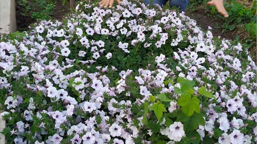 Фото: личный архив Е. Ямочки