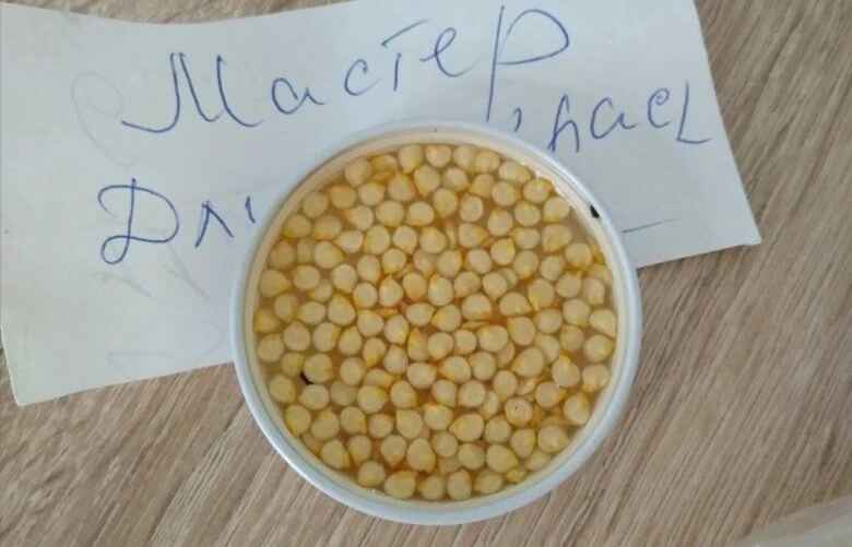 Семена перца лучше обеззаразить при замачивании. Фото: архив Екатерины Ямочки