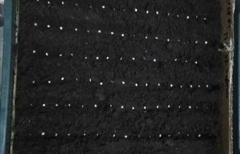 Фото: архив Екатерины Ямочки